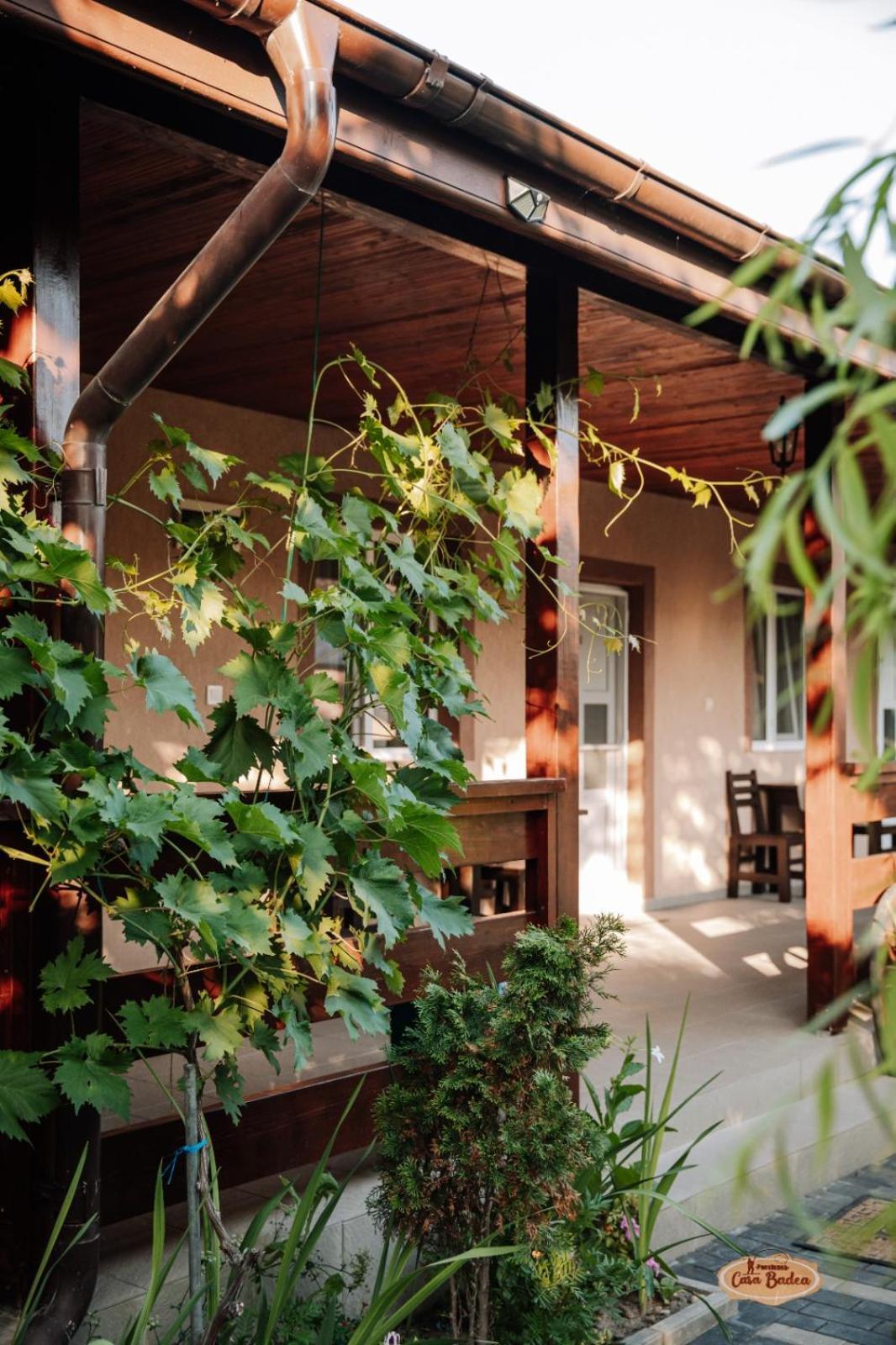 Hotel Casa Badea à Murighiol Extérieur photo